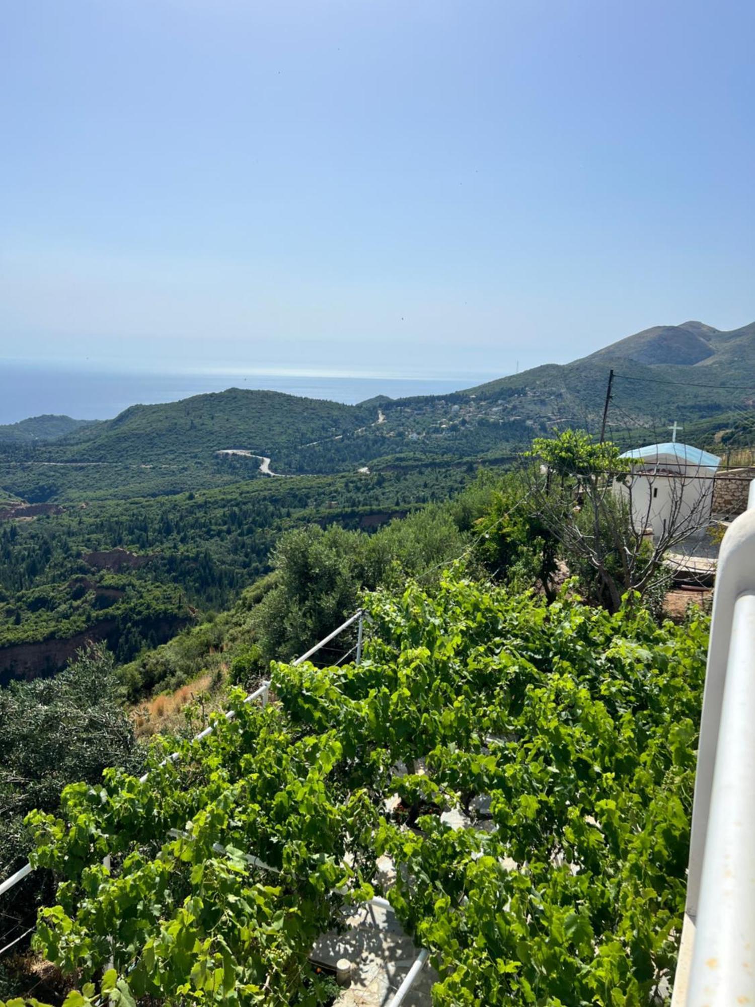 Villa Filip Vuno Exteriér fotografie